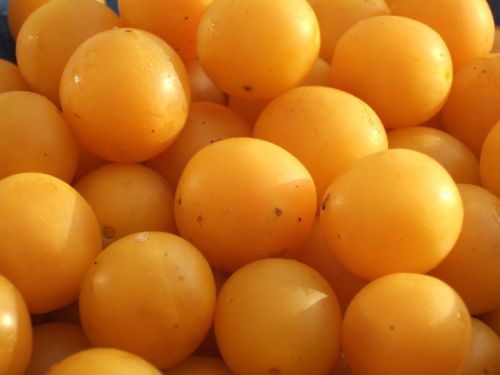 Ameixa Mirabelle