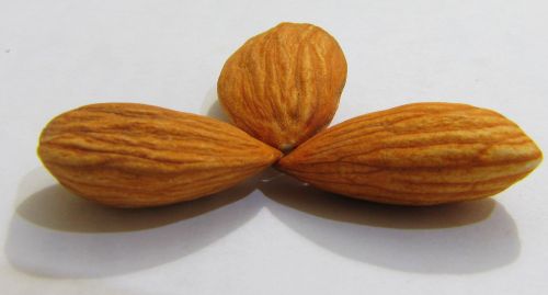 Amêndoa