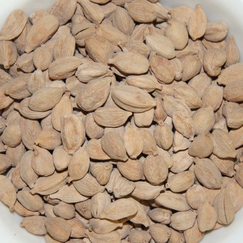 Cardamomo