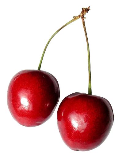 Cereja