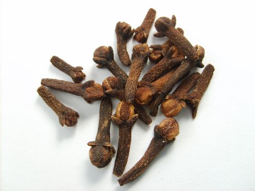 Cravo-da-Índia