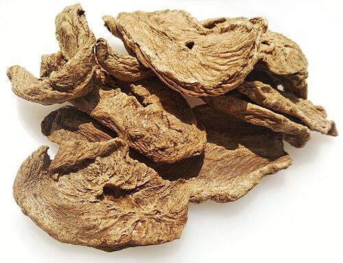 Nagarmota