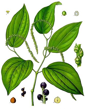 Pimenta Preta