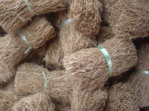 Vetiver
